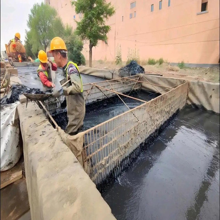 2026上新:污泥压干处理公司滁州市厂家排名最新盘点