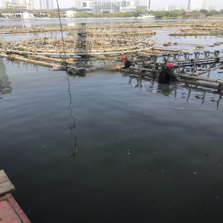 2026安心之选:污水厂水底作业广元厂家排名盘点