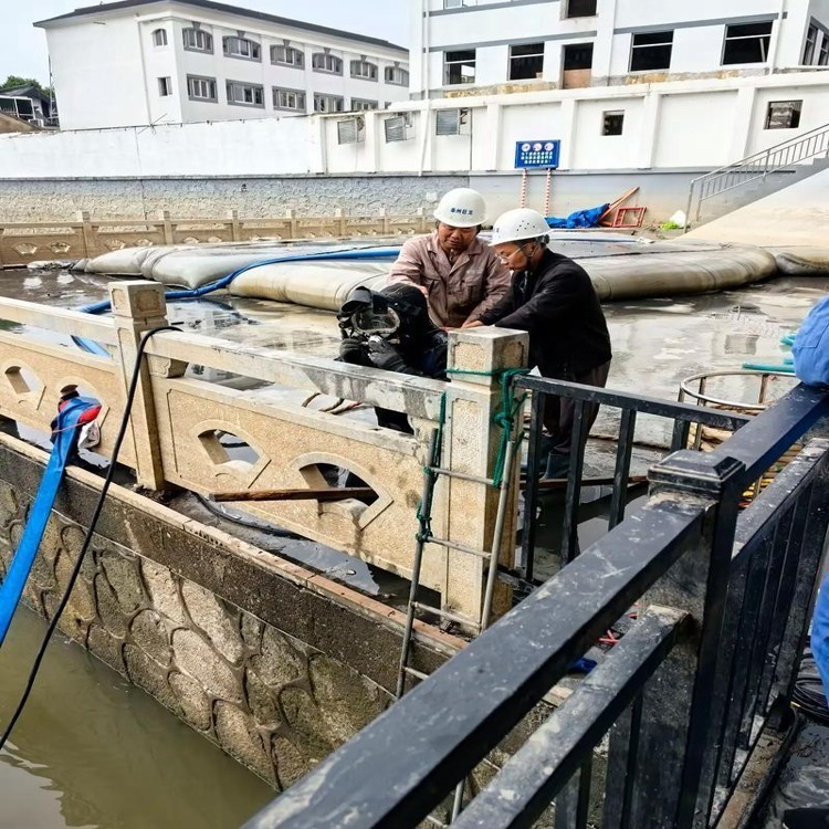 2026推荐：污水厂闸门堵漏开封市服务商怎么选