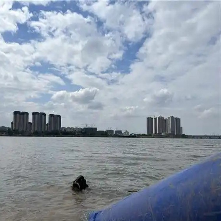 2026推荐：曝气盘水下安装衡阳企业推荐怎么选