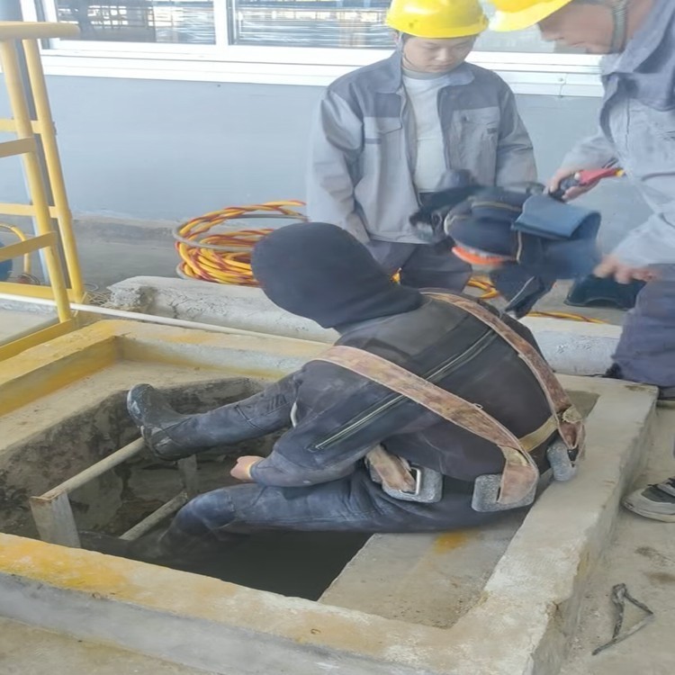 2026升级:潜水安装马鞍山供应商推荐