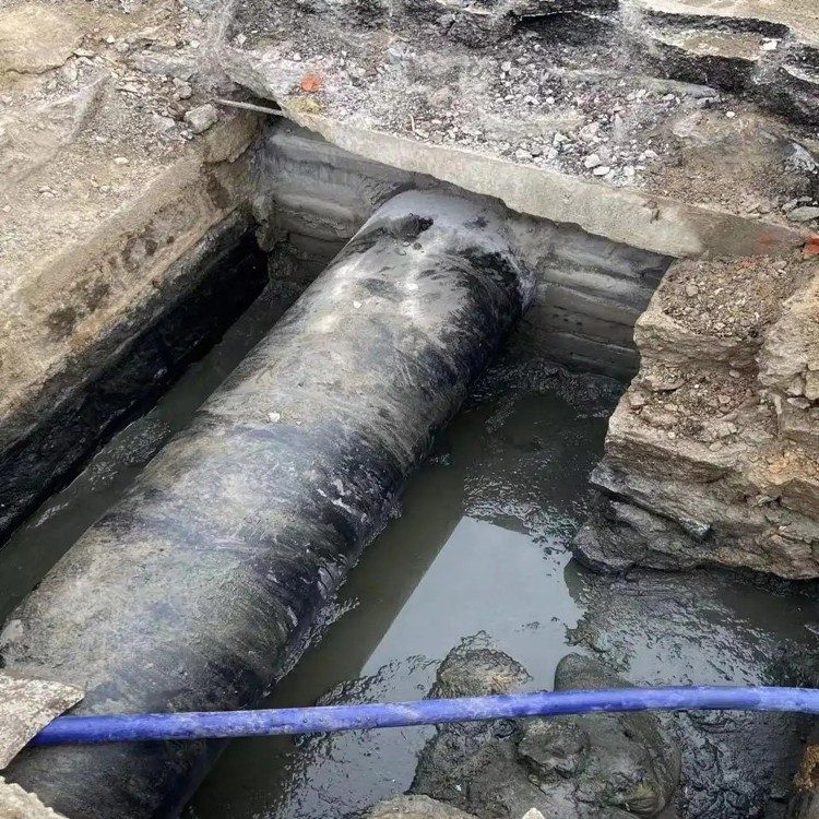 2026年实力之选:污水厂水下打捞商洛厂家怎么选
