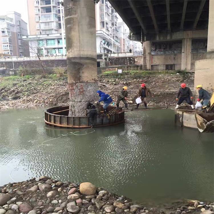 2026高效解困指南:潜水检测东营厂家排名解读
