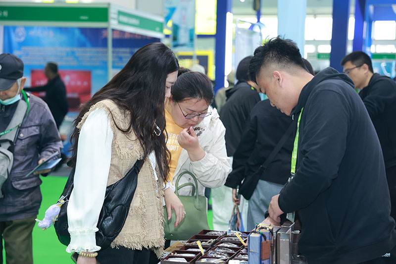 深圳营养保健品展什么地点