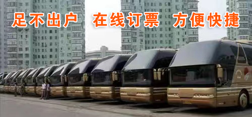 杭州到新安长途客车-义乌到新安汽车查询2026发车时刻表