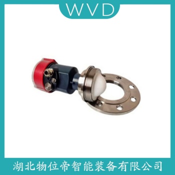 JERD816-IGA0QCQI1CLMF雷达料位计 WVD