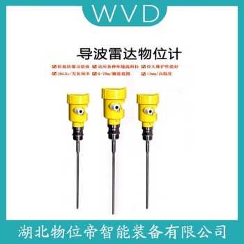 ULM-11A1-ZW19雷达物位计 WVD