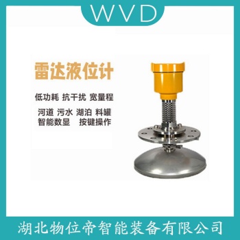 HL404-XXMZ46雷达物位计 WVD