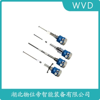 射频导纳物位控制仪FT155-AAA1RG143A1A WVD