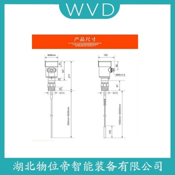 HCGP13-PEDO-2BMN导波雷达液位计 WVD