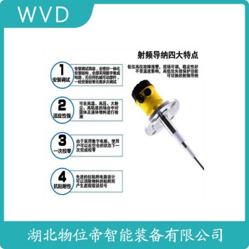 RE881G1-H2268/800mm 绳式射频导纳料位计 WVD