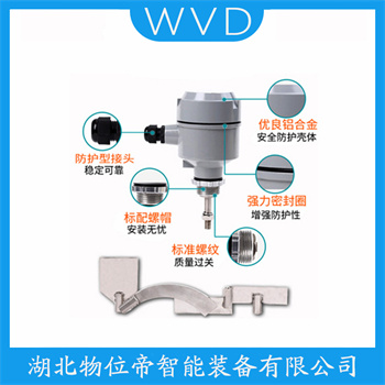 阻移式物位计RN3001A021AA3A3A WVD