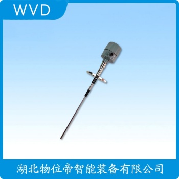 绳式射频导纳料位计FT8020 WVD