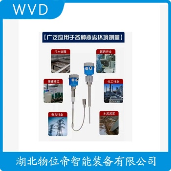 RE881G1-H2268/800mm 绳式射频导纳料位计 WVD