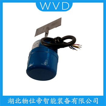 堆煤传感器BRL602FD1AC5BAB WVD