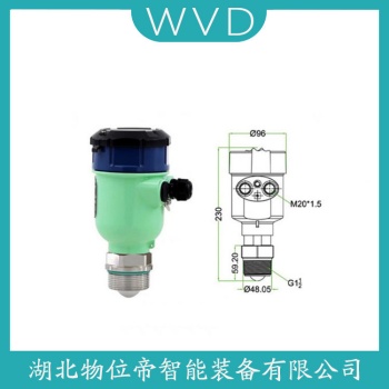 GDGW56导波雷达物位计 WVD