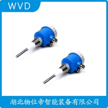 射频导纳物位控制仪RF862G-2236 WVD