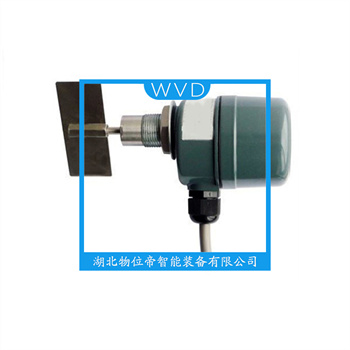 SE141BG0550  阻旋料位仪维护建议