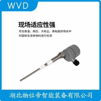 射频导纳物位控制仪FT155-AAA1RG143A1A WVD