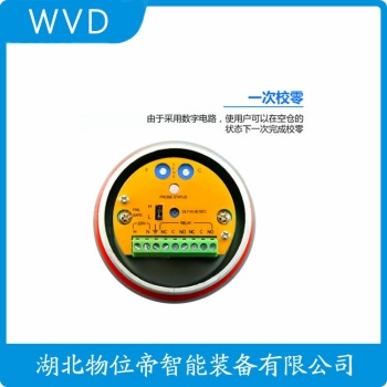 射频导纳物位控制仪RF862G-2236 WVD