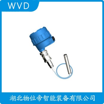 绳式射频导纳料位计FT8020 WVD