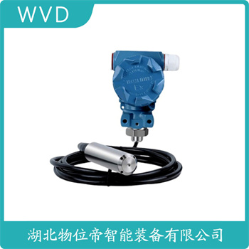 分体投入式液位变送器GT300 WVD