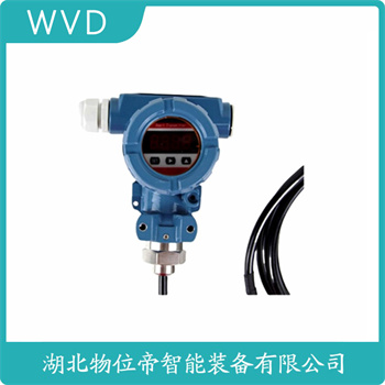 投入式液位变送器LDS WVD