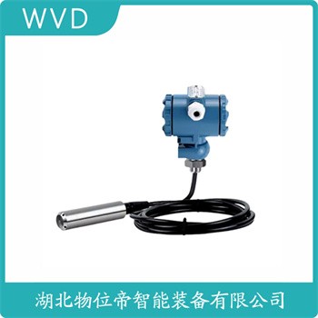 投入式静压液位传感器XTX-136-XL10ACD WVD