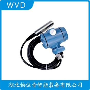 分体投入式液位变送器LV20-20K20K2B3A/R1/LL WVD
