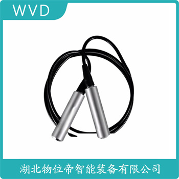 投入式液位变送器HC-316AQAL8CG-LY WVD