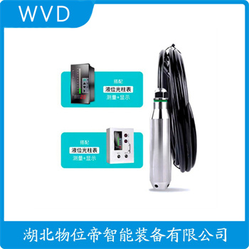 投入式液位变送器JCJ800I2S4P22V4 WVD