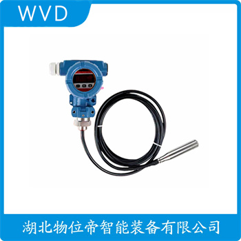分体投入式液位变送器GT300 WVD