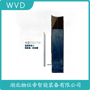 分体投入式液位变送器JCJ800I1S4P21V2 WVD