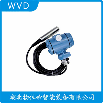 分体投入式液位变送器LV20-20K20K2B3A/R1/LL WVD