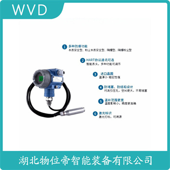 分体投入式液位变送器JCJ800I1S4P21V2 WVD