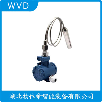分体投入式液位变送器LV20-20K20K2B3A/R1/LL WVD