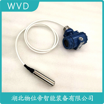 投入式液位变送器LMP636 WVD