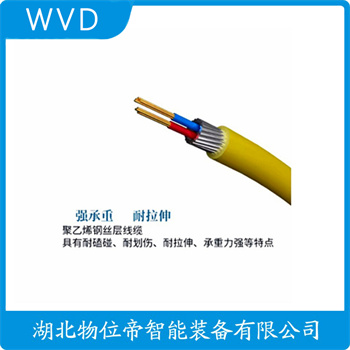 分体投入式液位变送器FD86 WVD