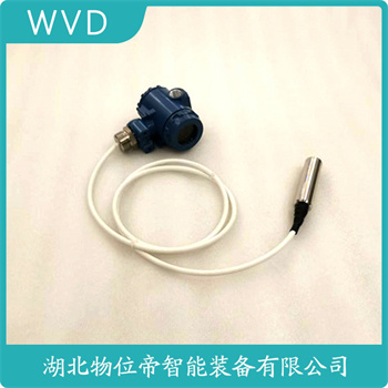 分体式静压液位传感器HCDB-51DHLT80SJ WVD