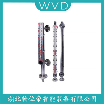 磁浮子液位计YFK999 WVD