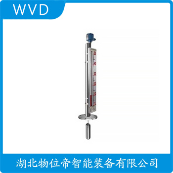 顶装磁翻柱液位计B49H-9 WVD