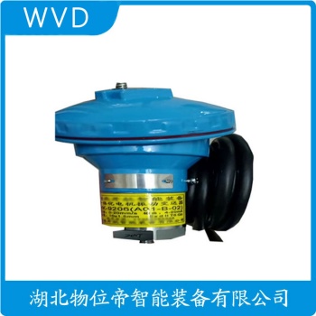 振动传感器DF5110-01-01-000 WVD