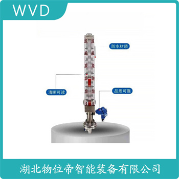 磁浮子液位计YFK999 WVD