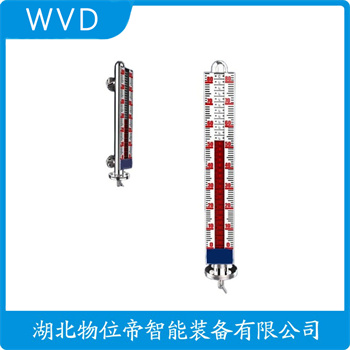 顶装磁翻柱液位计B49H-9 WVD