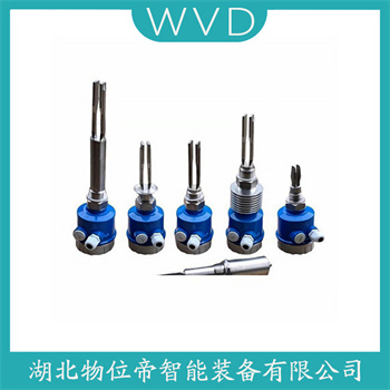 音叉料位开关FTM20-CN45A WVD