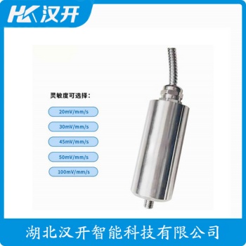 一体化振动变送器YZHB-A5-B1-C3-D5-E2-F1-G1 WVD