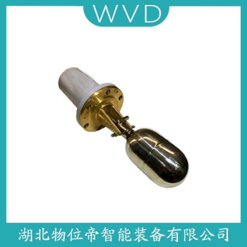 KZ-BF 浮球物位计 WVD