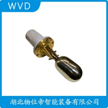 浮球物位计RLS-1000 WVD
