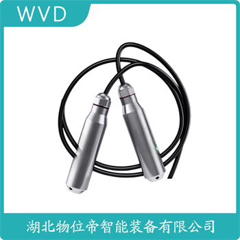 投入式静压液位传感器FB0803WE06E3LM WVD