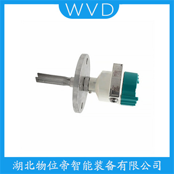 FTM21-AA445A 音叉液位计 WVD